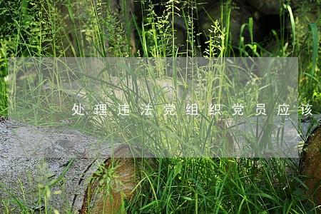 处理违法党组织党员应该 处理违法党组织党员应该
