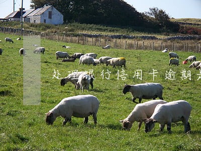 处理银行信用卡逾期是真的吗 处理银行信用卡逾期是真的吗