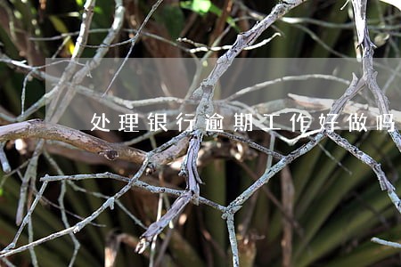 处理银行逾期工作好做吗 处理银行逾期工作好做吗