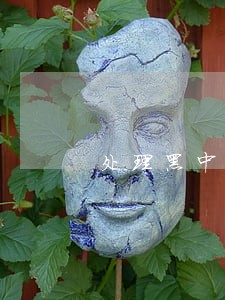 处理黑中介的法律条文