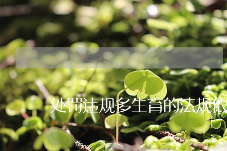 处罚违规多生育的法规依据