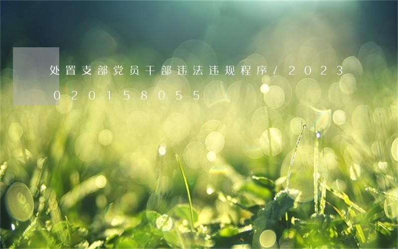 处置支部党员干部违法违规程序/2023020158055
