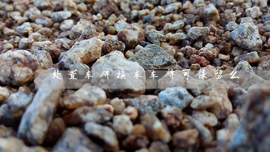 处置车牌换车车牌可保留么 处置车牌换车车牌可保留么