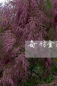 备付金逾期5天还清了还能用吗