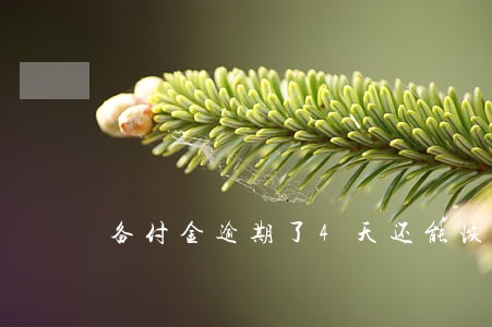 备付金逾期了4天还能恢复正常吗 备付金逾期了4天还能恢复正常吗