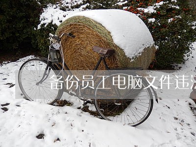 备份员工电脑文件违法 备份员工电脑文件违法