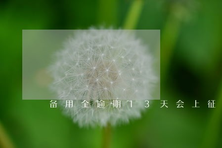 备用全逾期13天会上征信吗 备用全逾期13天会上征信吗