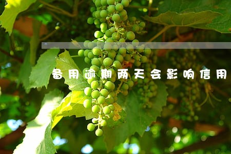 备用逾期两天会影响信用吗