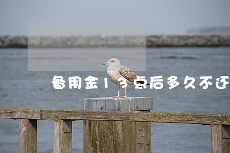 备用金13点后多久不还是逾期 备用金13点后多久不还是逾期