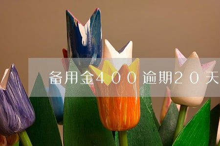 备用金400逾期20天还 备用金400逾期20天还