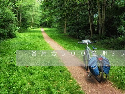 备用金500逾期3天会怎样 备用金500逾期3天会怎样