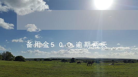 备用金500逾期两天 备用金500逾期两天