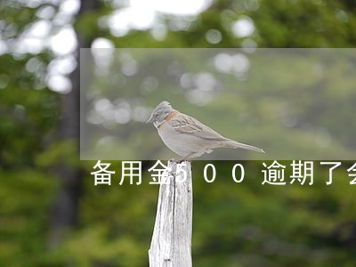 备用金500逾期了会怎么样 备用金500逾期了会怎么样