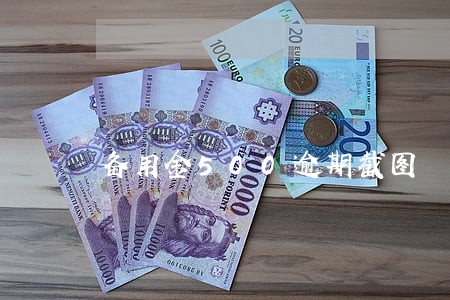备用金500逾期截图 备用金500逾期截图