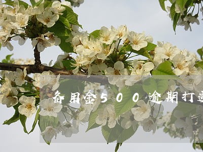 备用金500逾期打通讯录了 备用金500逾期打通讯录了