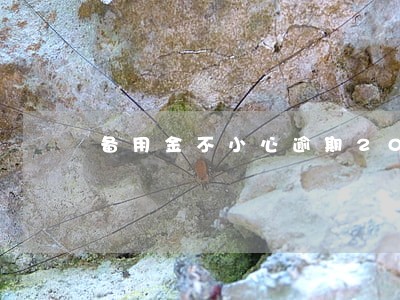 备用金不小心逾期20天 备用金不小心逾期20天