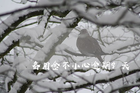 备用金不小心逾期9天