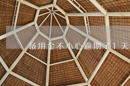 备用金不小心逾期了1天被关了 备用金不小心逾期了1天被关了