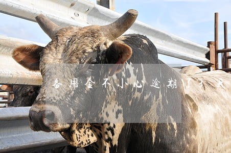 备用金不小心逾期了3天 备用金不小心逾期了3天