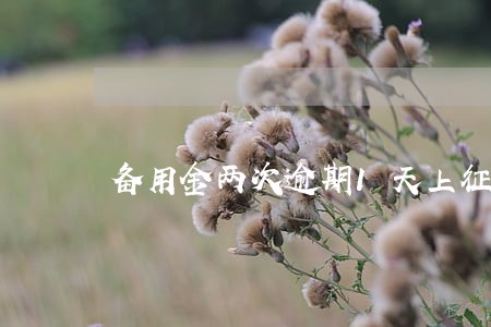 备用金两次逾期1天上征信吗 备用金两次逾期1天上征信吗