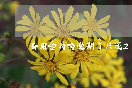 备用金为啥逾期了只还271 备用金为啥逾期了只还271