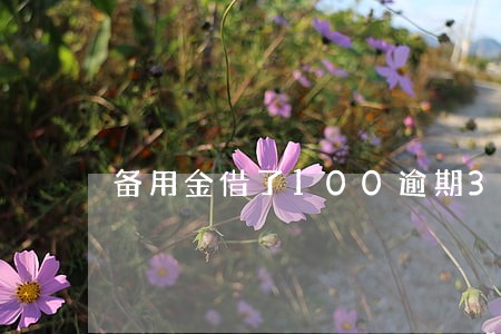 备用金借了100逾期35天了 备用金借了100逾期35天了