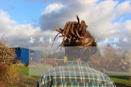 备用金借了200逾期两天 备用金借了200逾期两天