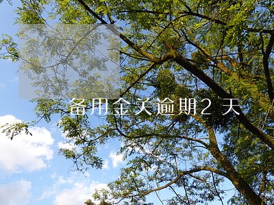 备用金关逾期2天 备用金关逾期2天