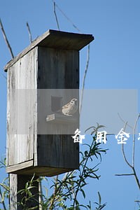 备用金凌晨12点还算不算逾期 备用金凌晨12点还算不算逾期