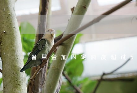 备用金加固定额度超过5万逾期 备用金加固定额度超过5万逾期