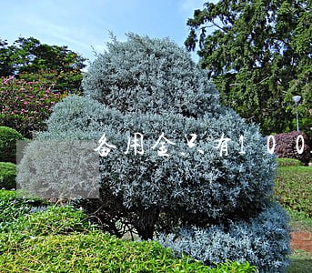 备用金只有100额度逾期怎么办 备用金只有100额度逾期怎么办