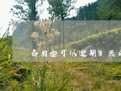 备用金可以逾期3天么 备用金可以逾期3天么