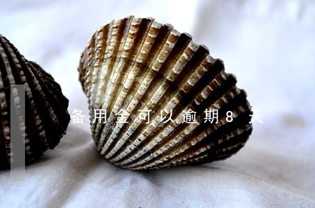 备用金可以逾期8天 备用金可以逾期8天