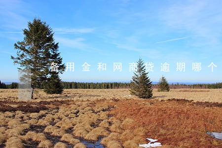 备用金和网商贷逾期哪个会先扣款 备用金和网商贷逾期哪个会先扣款