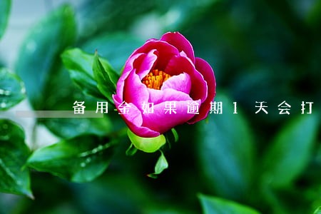 备用金如果逾期1天会打电话嘛