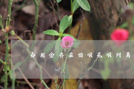 备用金存在借呗花呗网商贷逾期 备用金存在借呗花呗网商贷逾期