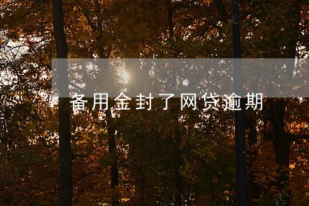 备用金封了网贷逾期 备用金封了网贷逾期