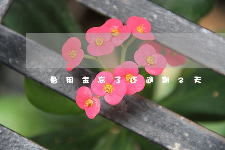 备用金忘了还逾期2天 备用金忘了还逾期2天