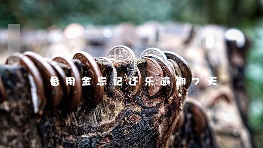 备用金忘记还乐逾期7天
