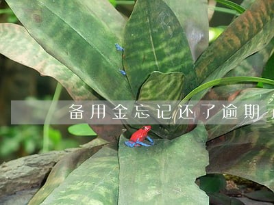 备用金忘记还了逾期了3天 备用金忘记还了逾期了3天