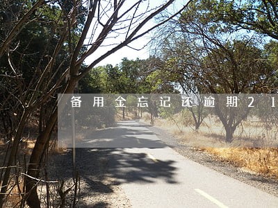 备用金忘记还逾期21天怎么办