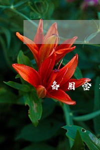 备用金最多可以逾期10天 备用金最多可以逾期10天