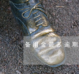 备用金最多逾期7天 备用金最多逾期7天