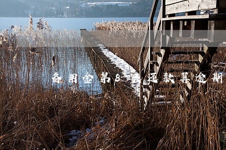 备用金第8天还款算逾期吗 备用金第8天还款算逾期吗