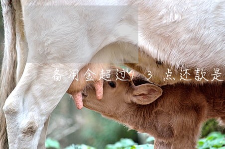 备用金超过13点还款是逾期么 备用金超过13点还款是逾期么