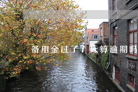备用金过了7天算逾期吗 备用金过了7天算逾期吗