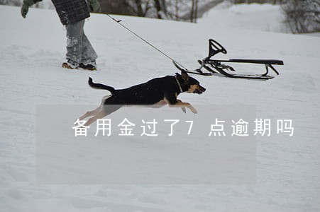 备用金过了7点逾期吗 备用金过了7点逾期吗
