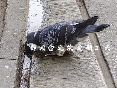 备用金连续逾期2天 备用金连续逾期2天
