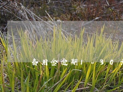 备用金逾期1-30天 备用金逾期1-30天