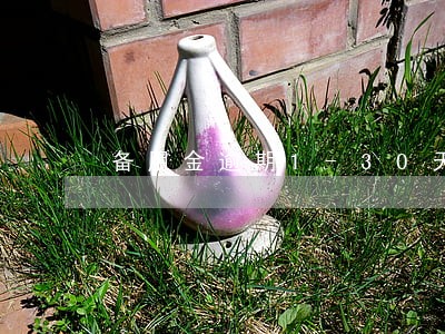 备用金逾期1-30天上征信吗 备用金逾期1-30天上征信吗